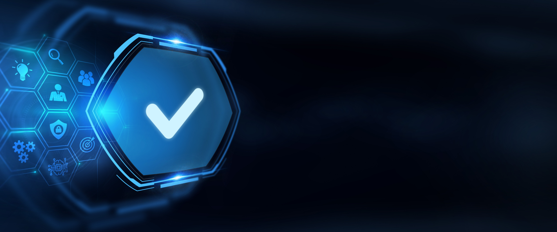 Professional standards and project quality